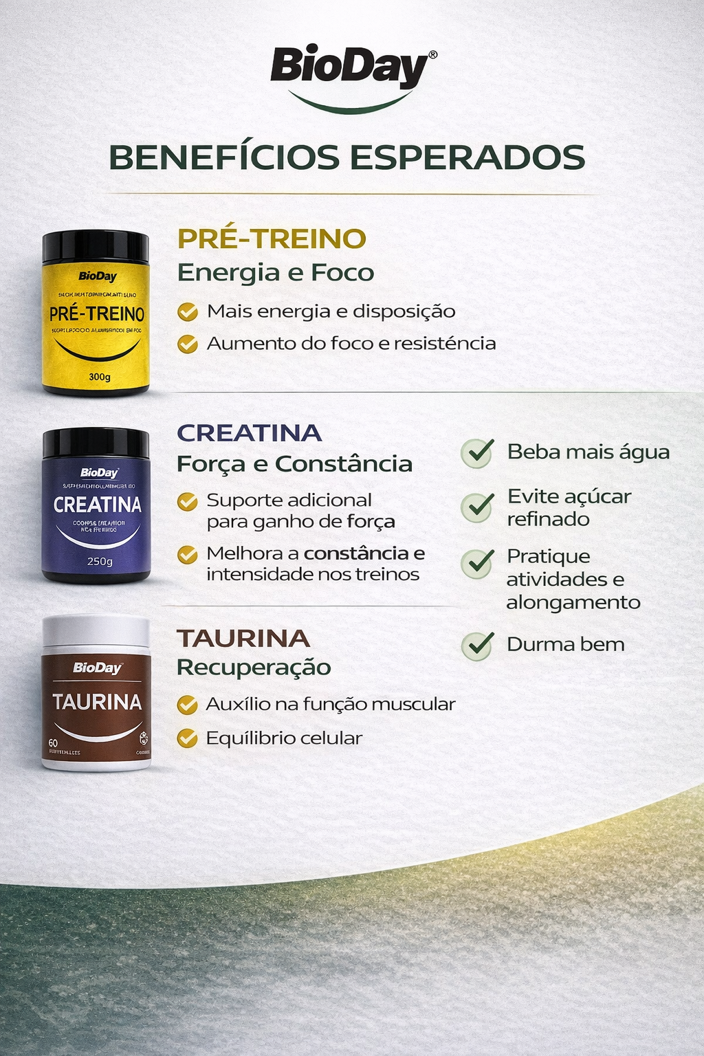 PROTOCOLO PERFORMANCE 360°