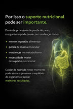 Protocolo BioDay – Equilíbrio Nutricional durante a Perda de Peso