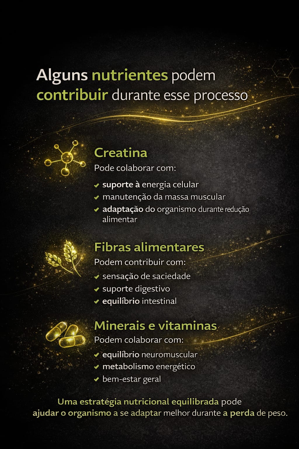 Protocolo BioDay – Equilíbrio Nutricional durante a Perda de Peso