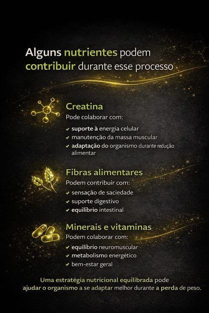 Protocolo BioDay – Equilíbrio Nutricional durante a Perda de Peso